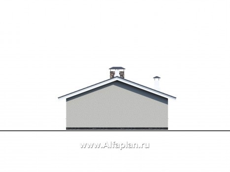 Проекты домов Альфаплан - «Мелета» - уютный одноэтажный дом с террасой - превью фасада №3
