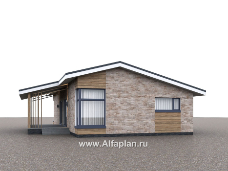 Проекты домов Альфаплан - "Алладин" - проект одноэтажного дома, мастер спальня, с террасой и красивым потолком гостиной со стропилами - превью дополнительного изображения №1