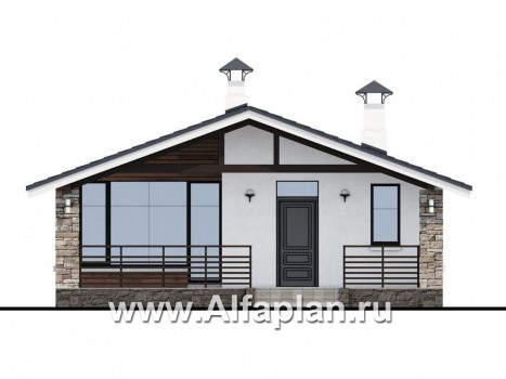 «Родия» - проект одноэтажного дома, 2 спальни, с террасой и двускатной крышей, в современном стиле - превью фасада дома